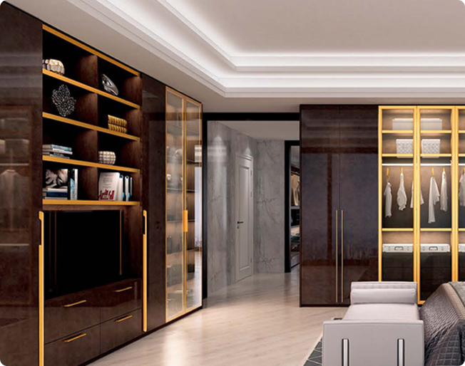 Walk-in closet case